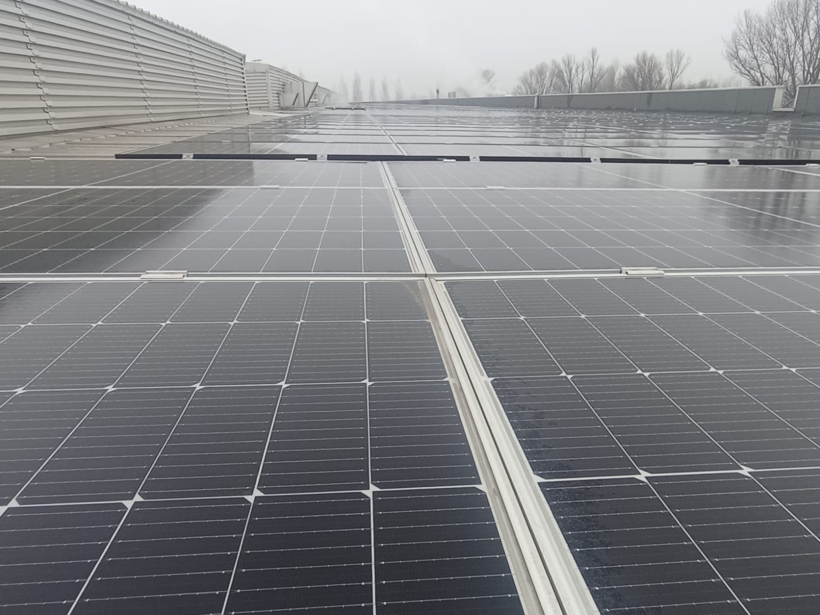 Pannelli fotovoltaici